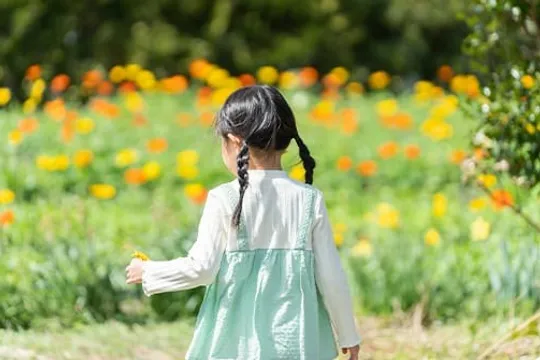 花畑を歩く三つ編みの女の子の後ろ姿