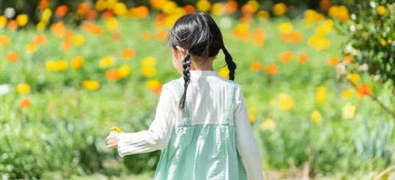 花畑を歩く三つ編みの女の子の後ろ姿